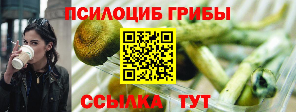 Гай  Псилоцибиновые грибы мицелий  Вход с VPN 